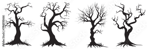 Set of four eerie twisted barren trees with tangled branches on white background spooky Halloween vector illustration black silhouette isolated