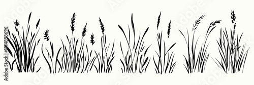 Hand drawn black ink grass silhouettes with wheat and tall meadow plants sketch set isolated on white background minimalist vector illustration for natural design elements and rustic backgrounds