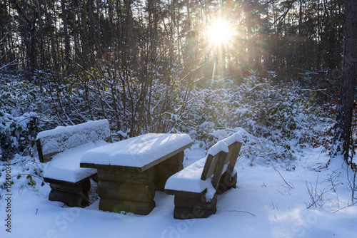 Snowy bench in nature park Dübener Heide, Germany