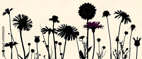 Elegant silhouettes of various wildflowers against a clean background, ideal for design projects,  flower,  cutout