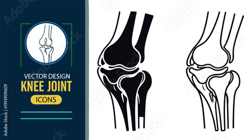 Minimal anatomical knee joint vector icons showing bones cartilage and structure in silhouette and outline styles