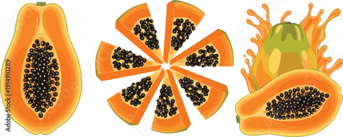 Fresh Papaya Fruit Vector Illustration with Whole Half and Sliced Pieces Showing Seeds and Juice Splash Isolated on White Background