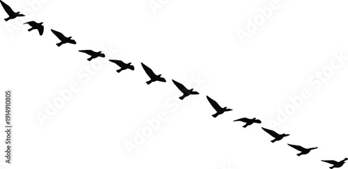 Flying Bird Silhouettes in Diagonal Formation Representing Migration Freedom and Nature Wildlife Concept in Minimal Black Vector Illustration Isolated on White