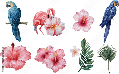 blue and yellow macaw ara ararauna