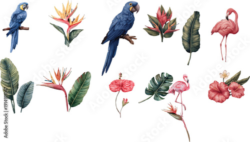set of colorful birds on a branch