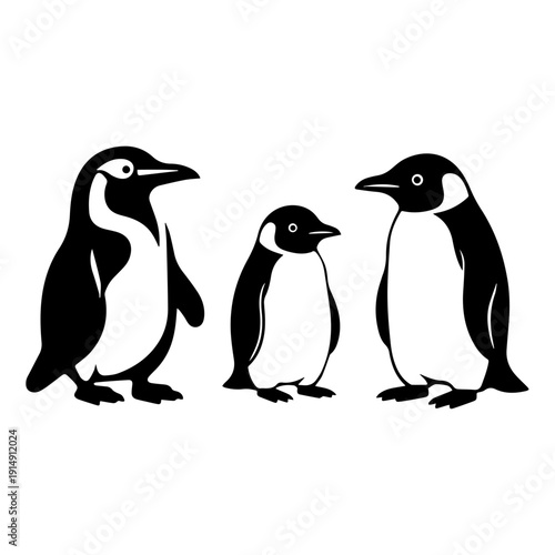 penguin