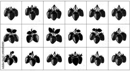 Collection of blackberry illustrations on white background fruit icons berry silhouettes for design