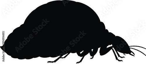 Large black silhouette of parasitic bed bug creature shown in profile view.
