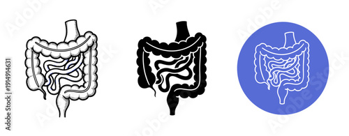 Large and small intestines illustration trio in black and white with blue icon