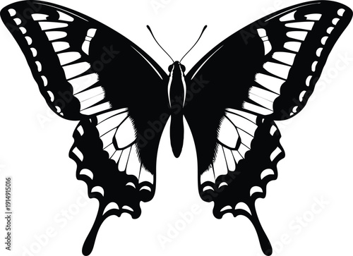 Black and white stylized butterfly insect graphic isolated on white.