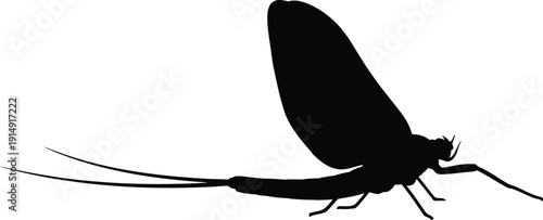Mayfly insect silhouette in profile view shows long tail filaments clearly.