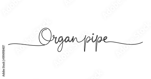 Elegant handwritten script of the words 'organ pipe' in black. No editable strokes