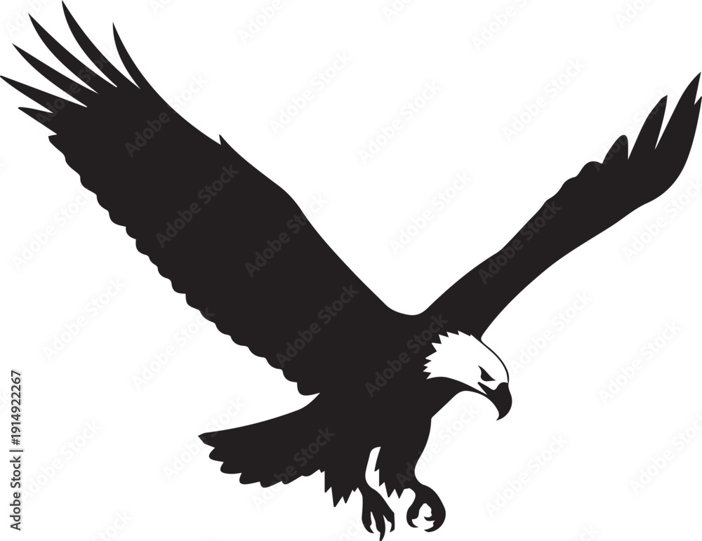Obraz premium Majestic bald eagle landing vector silhouette illustration with spread wings and line art