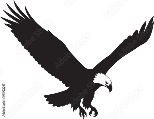 Majestic bald eagle landing vector silhouette illustration with spread wings and line art