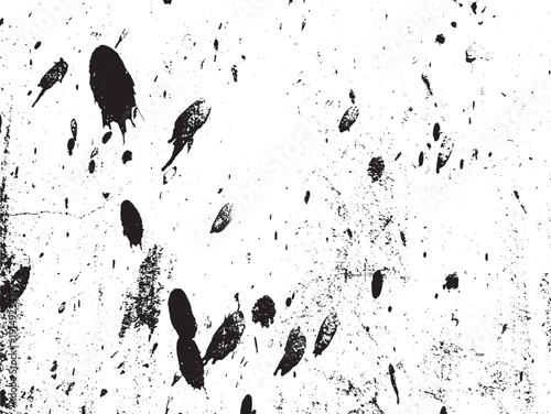 black and white ink splashes on white