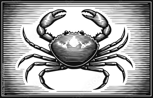 Black and white engraved crab illustration sea crustacean, marine wildlife, ocean animal digital art