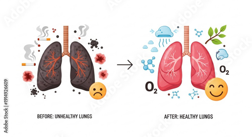Healthy lungs vs unhealthy lungs before and after smoking infographic illustration
