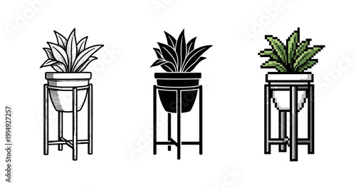 Succulent plant evolution: sketch, silhouette, and pixel art stages