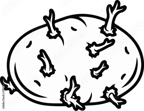 A black and white outline drawing of a potato with sprouts emerging