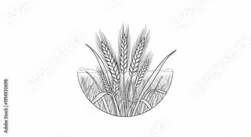 A black and white illustration of wheat stalks in a field
