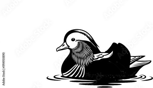 A black and white illustration of a detailed duck swimming on water