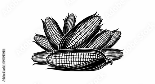A black and white illustration of a cluster of corn ears