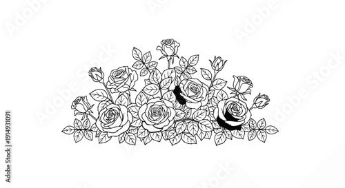 A black and white line drawing of a cluster of blooming roses and buds with leaves