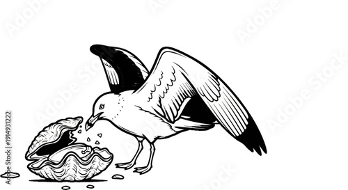 A black and white illustration of a seagull eating from an open clam