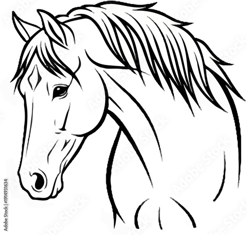 A black and white line drawing of a horse's head and neck