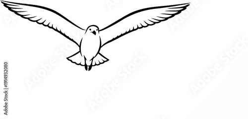 A black and white line drawing of a seagull in flight with wings outstretched