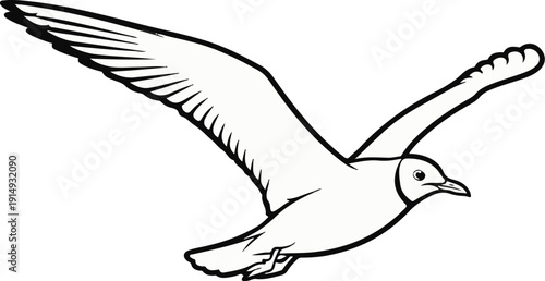 A black and white line drawing of a seagull in flight with wings outstretched