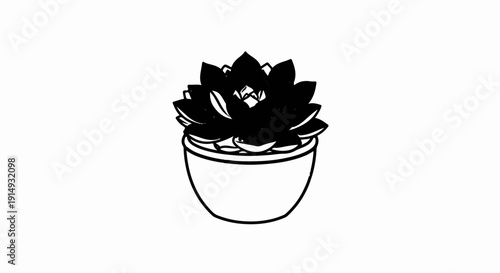 A black and white illustration of a succulent plant in a pot
