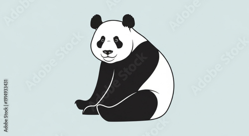 panda bear vector illustration