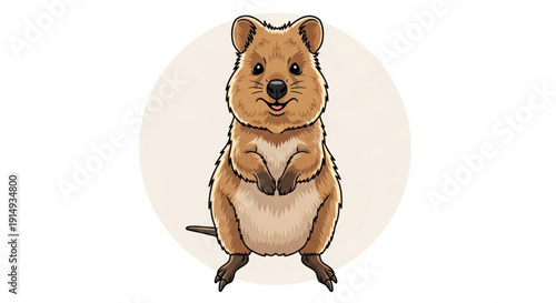 squirrel on white background