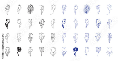Flower line icon set of 40 Tulip flower vector icons in different styles, including colored and black outline versions, Isolated on Transparent Background, vector illustration Simple outline signs for