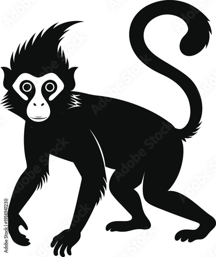 Wild capuchin monkey silhouette vector graphic design element