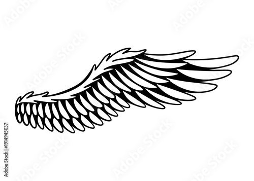 Wings sketch. Stylized birds wings. Hand drawn contoured stiker wing in open position. Vector design elements in coloring style