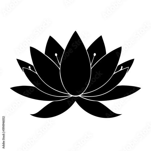 Elegant black and white lotus flower symbolizing purity and enlightenment