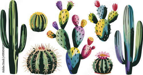 Colorful cactus plant illustration set featuring desert succulents, botanical collection, vibrant hand drawn vector design isolated white background