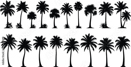 Tropical palm tree silhouettes collection, exotic summer beach nature elements, isolated black botanical shapes, coastal landscape design illustration set