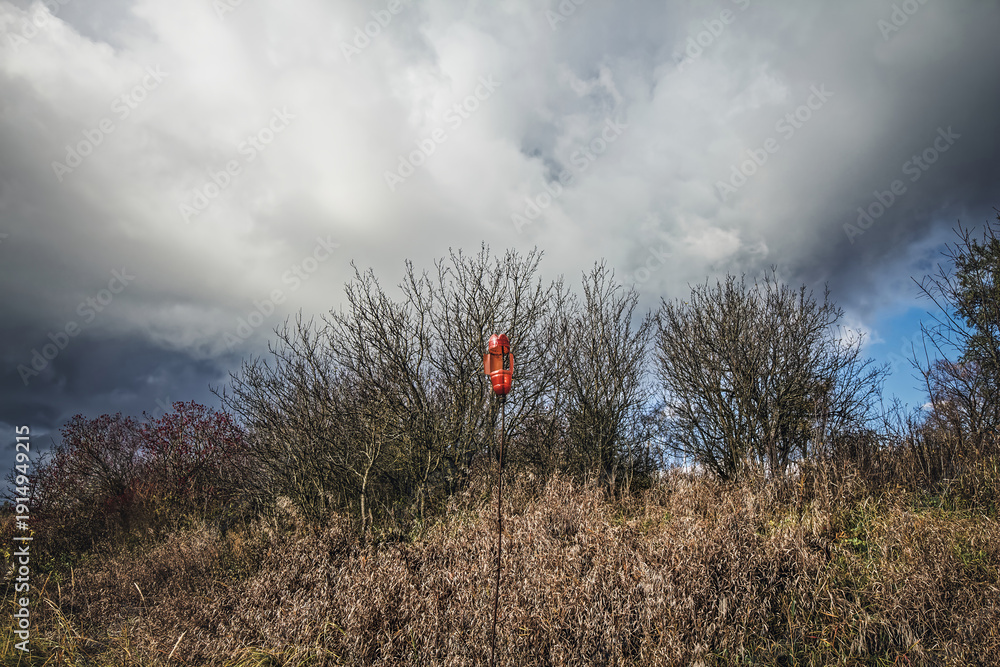 Fototapeta premium Ravine slope overgrown with dry grass