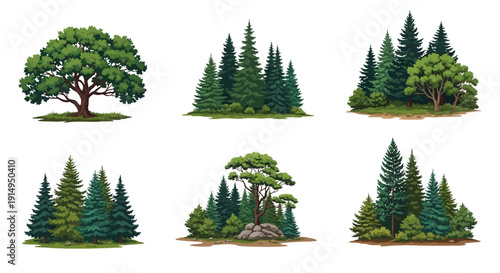 Diverse forest trees and pine forests in natural settings