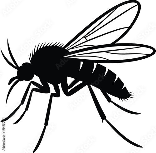 Mosquito insect silhouette profile illustrates disease transmission hazard.