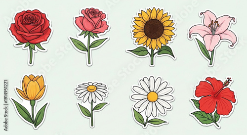 Collection of colorful flowers illustrations including roses lilies sunflowers and daisies on a light gray background with simple design