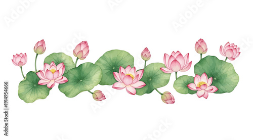 A watercolor painting of pink lotus flowers and green lily pads