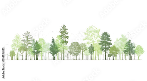 A group of trees on a white background