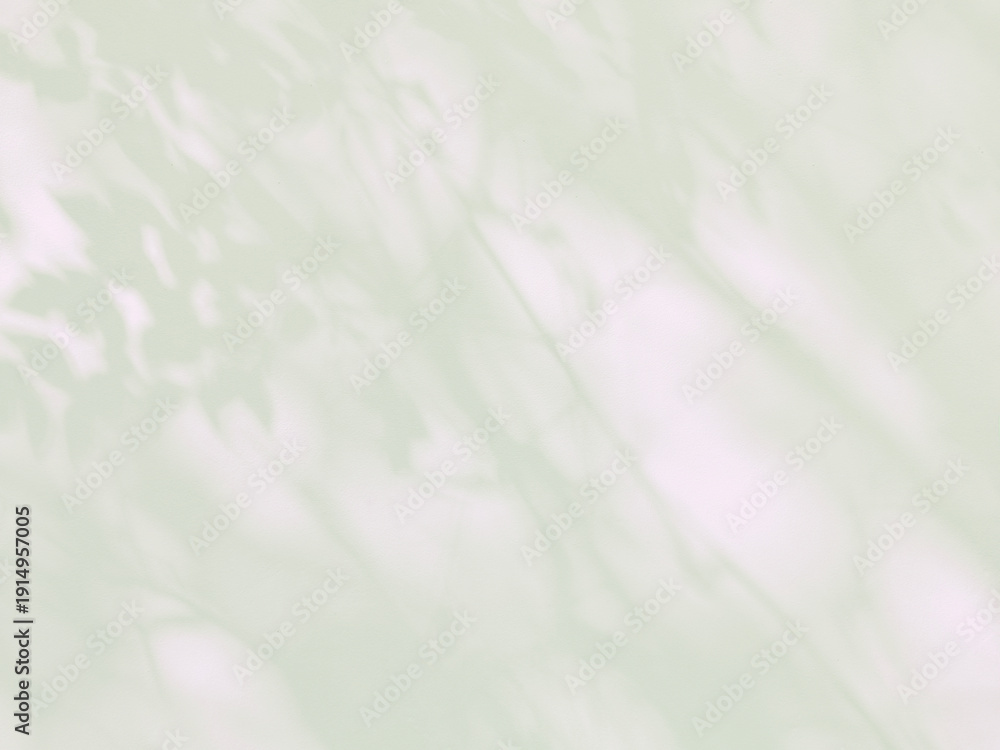 Fototapeta premium Summer background with blurred shadows of tropical leaves on a cement wall.