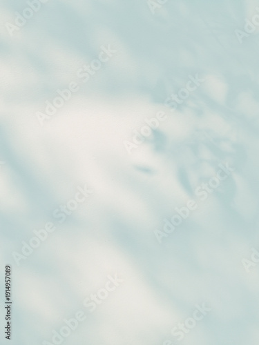 Summer background with blurred shadows of tropical leaves on a cement wall.
