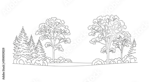 A black and white drawing of trees on either side of a body of water