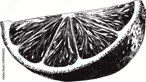 A black and white illustration of a juicy citrus fruit wedge, cut in half, showing internal segments